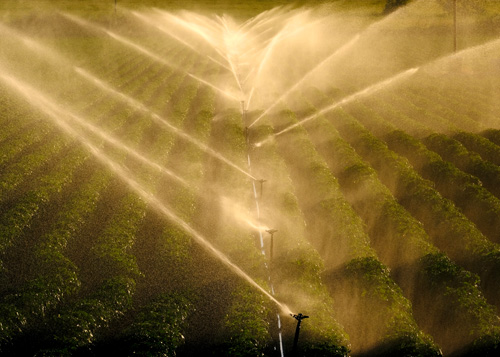 sprinklerinstallatie voor de beregening van gewassen beneveld het land