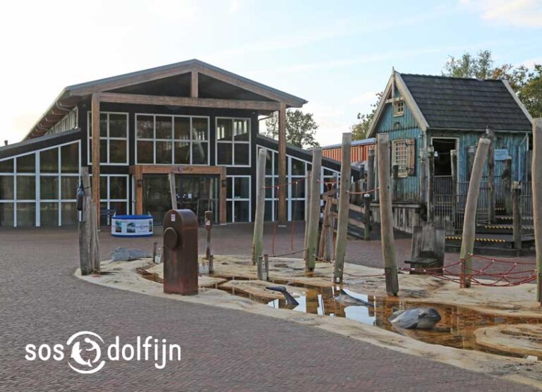 Header-SOS-Dolfijn-zuivert-oppervlaktewater-met-Waterbehandelingsinstallatie-Remon