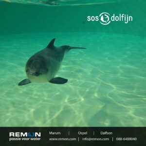 Remon-Waterbehandelingsinstallatie-voor-SOS Dolfijn-foto-5