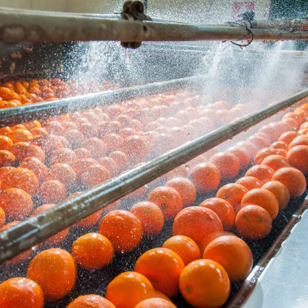 Waterbehandeling voor voedsel en dranken- Remon waterbehandeling 2