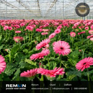 Villa Gerbera kiest voor waterbehandeling van Remon -foto5